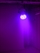 51914035_h