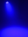 51915370_g